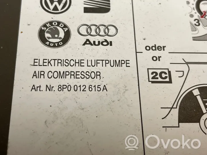 Audi A6 S6 C6 4F Rengaspainekompressori 8P0012615A