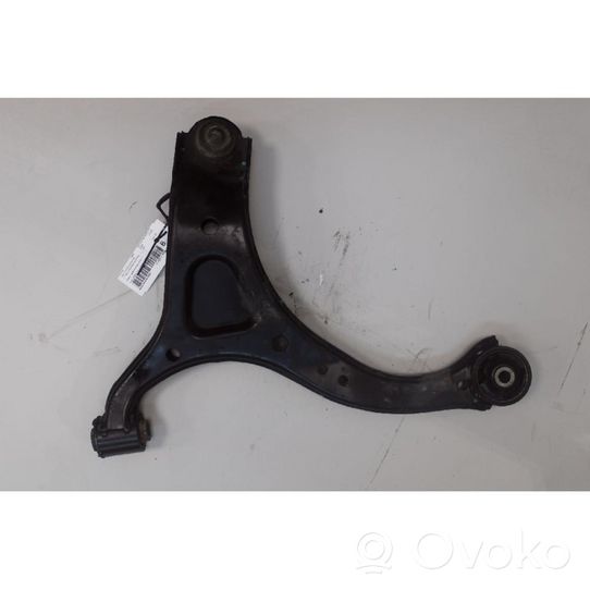 Hyundai Santa Fe Front control arm 