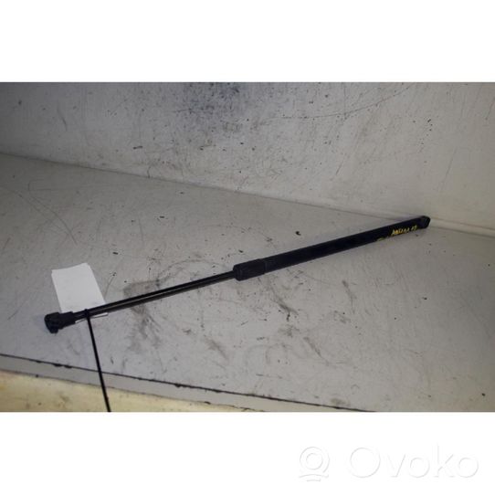 Opel Antara Rear window strut damper 