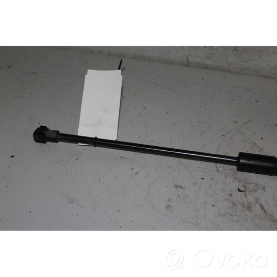 Opel Antara Rear window strut damper 