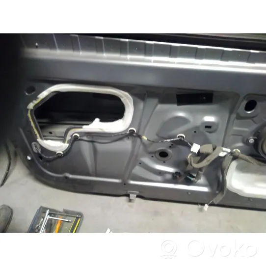 Renault Megane III Front door 