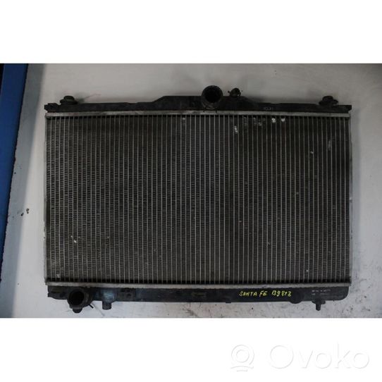 Hyundai Santa Fe Mazais radiators 