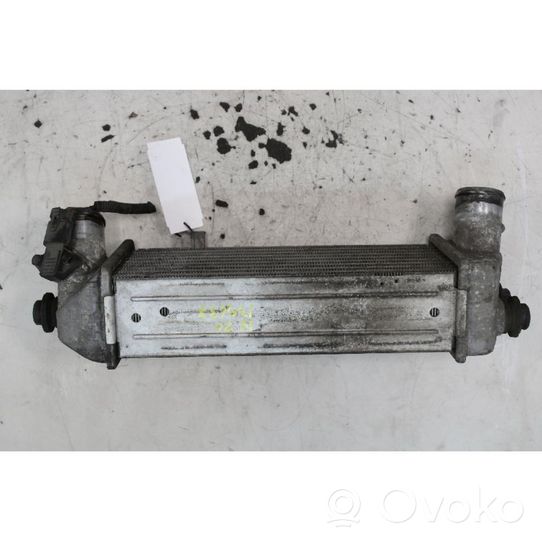 Hyundai ix20 Intercooler radiator 