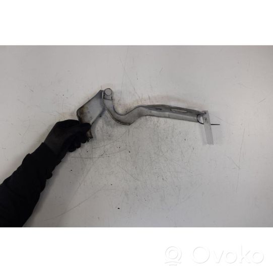 Seat Leon (5F) Engine bonnet/hood hinges 