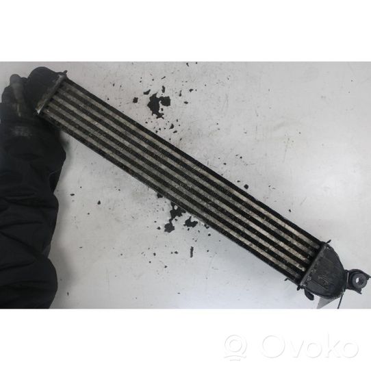 Mini Cooper Countryman R60 Radiatore intercooler 