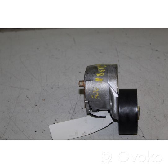 Fiat 500 Generator/alternator belt tensioner 