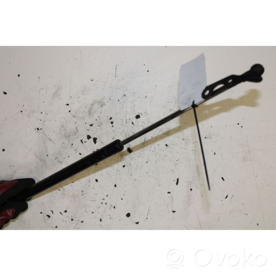 Toyota Yaris Rear window strut damper 