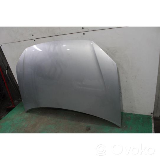 Volkswagen Polo IV 9N3 Engine bonnet/hood 