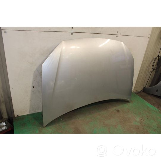 Volkswagen Polo IV 9N3 Engine bonnet/hood 