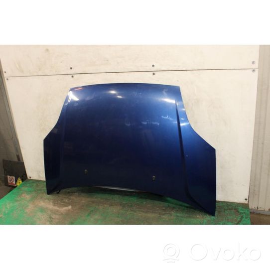 Ford Fiesta Motorhaube 