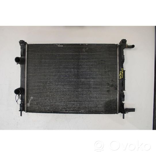 Renault Megane II Heater blower radiator 