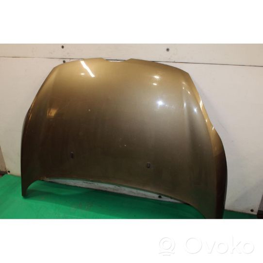 Ford Fiesta Engine bonnet/hood 