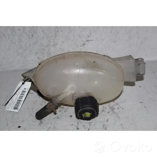 Renault Master III Coolant expansion tank/reservoir 