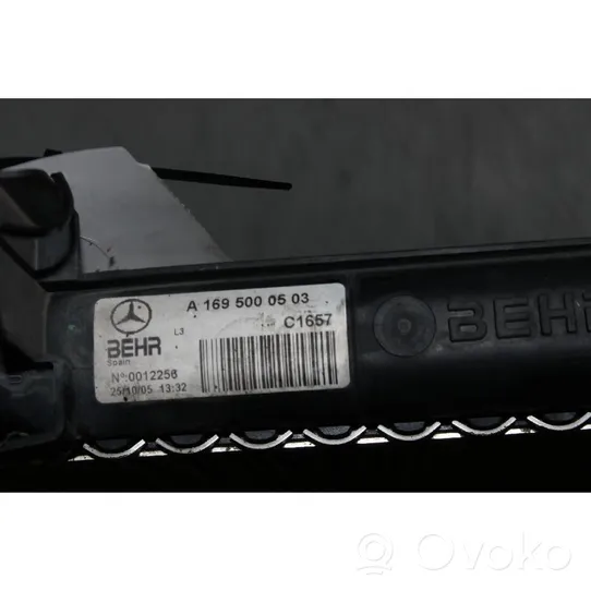 Mercedes-Benz A W169 Pečiuko radiatorius 