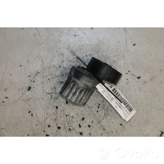 Audi A4 S4 B7 8E 8H Tendicinghia generatore/alternatore 