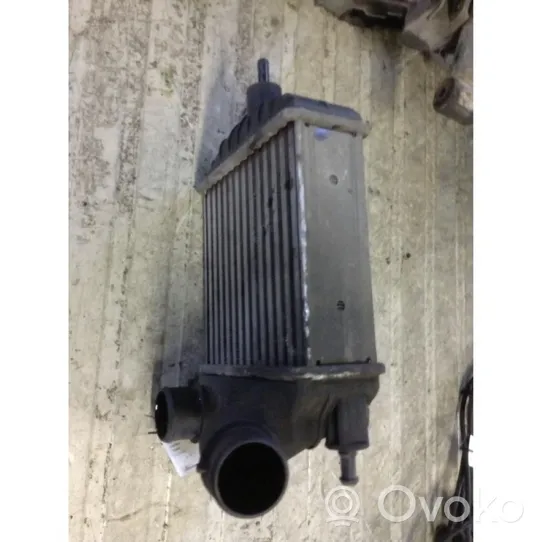 Fiat Idea Chłodnica powietrza doładowującego / Intercooler 