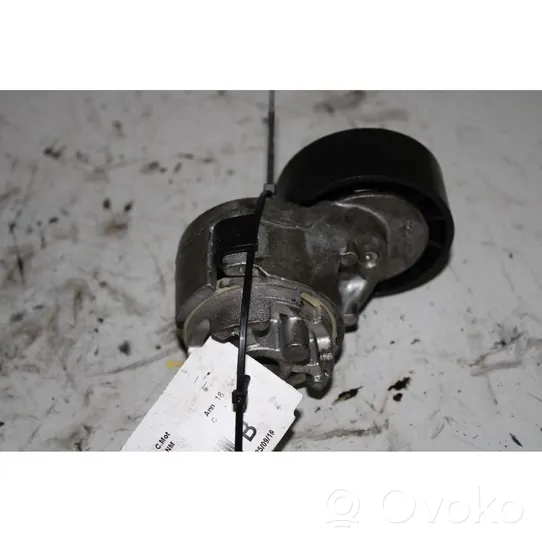 Fiat Ducato Generator/alternator belt tensioner 