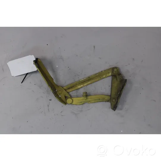 Volkswagen Crafter Engine bonnet/hood hinges 