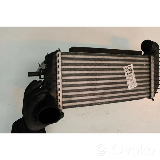 Ford C-MAX II Radiatore intercooler 