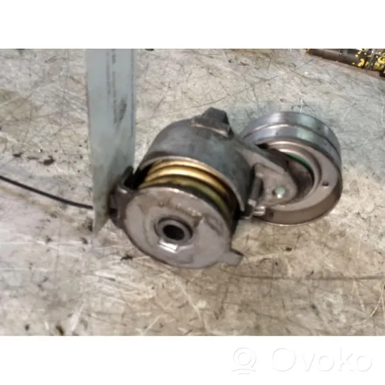 Renault Megane II Generator/alternator belt tensioner 