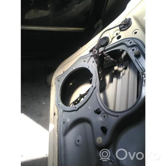 Volkswagen New Beetle Front door 