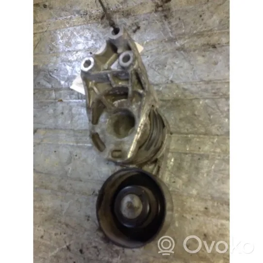 Audi A2 Generator/alternator belt tensioner 