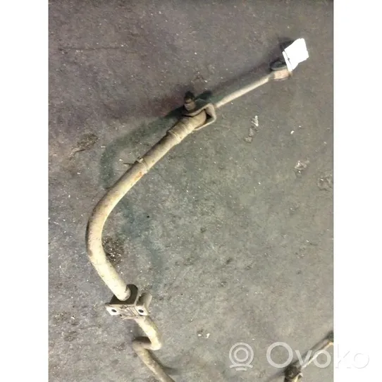 Tata Safari Rear anti-roll bar/sway bar 