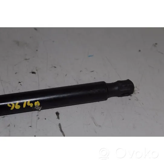 Fiat 500X Rear window strut damper 