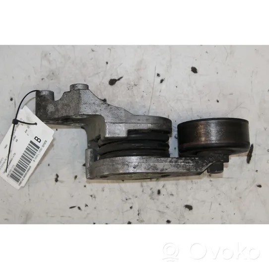 Skoda Fabia Mk1 (6Y) Tendicinghia generatore/alternatore 