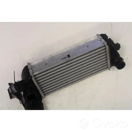 Lancia Ypsilon Chłodnica powietrza doładowującego / Intercooler 