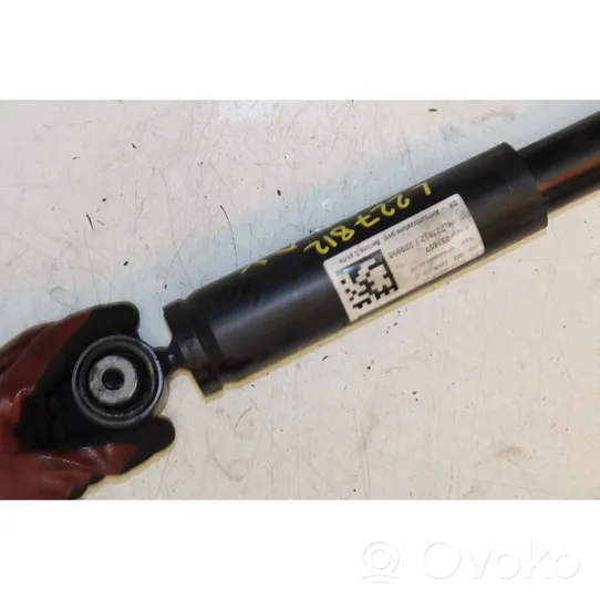 Renault Megane III Rear shock absorber with coil spring 