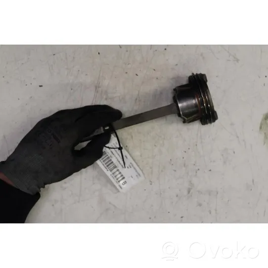 Ford Ecosport Piston with connecting rod 