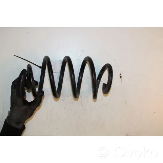 Renault Zoe Rear coil spring 