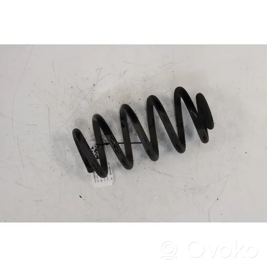 Renault Zoe Rear coil spring 