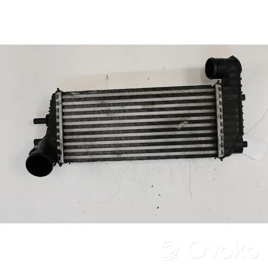 Ford Transit -  Tourneo Connect Intercooler radiator 