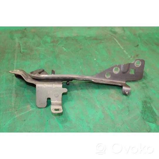 Renault Scenic III -  Grand scenic III Engine bonnet/hood hinges 