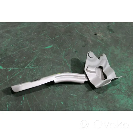 Hyundai ix20 Engine bonnet/hood hinges 