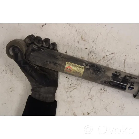 Hyundai Ioniq Rear shock absorber with coil spring 