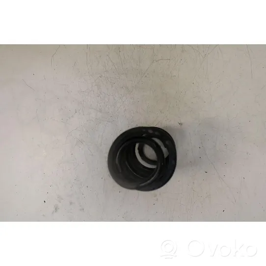 Audi Q3 8U Rear coil spring 