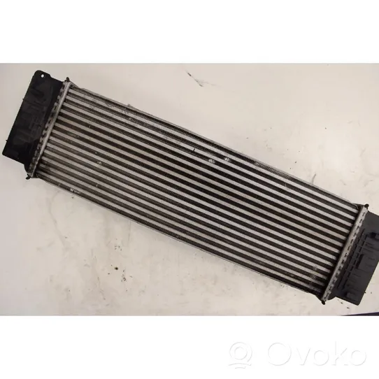 Mercedes-Benz Sprinter W906 Radiatore intercooler 