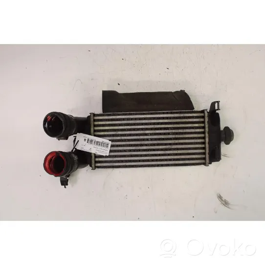 Ford Fiesta Radiador intercooler 