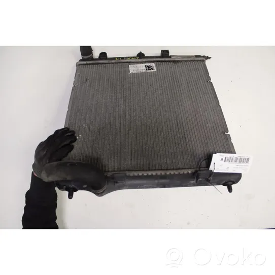 Citroen C3 Radiateur de chauffage 