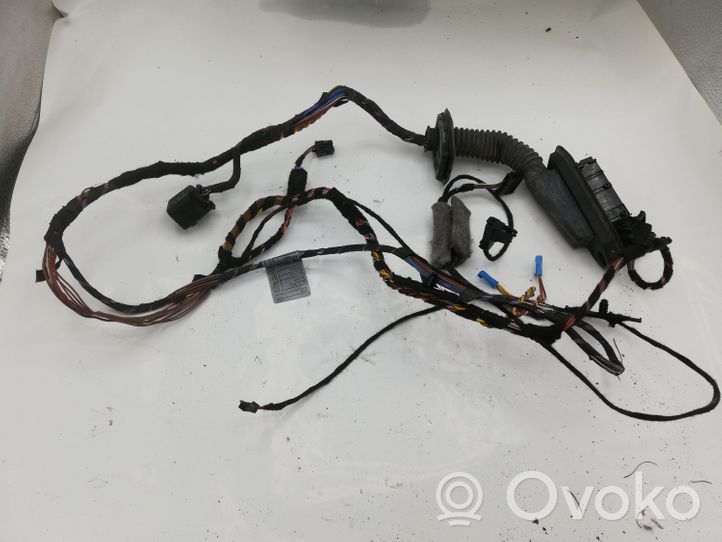 BMW X5 E70 Faisceau de câblage de porte avant 9187998