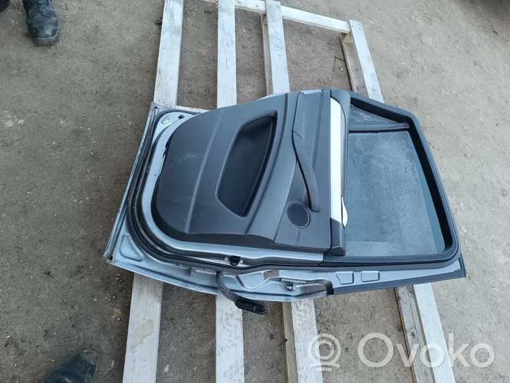 BMW X6 E71 Galinės durys 