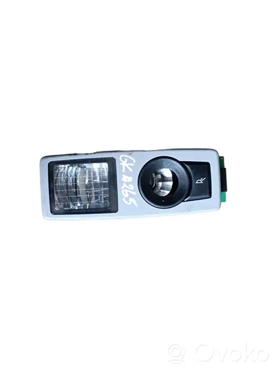 BMW X5 E70 Illuminazione sedili posteriori 63316972973