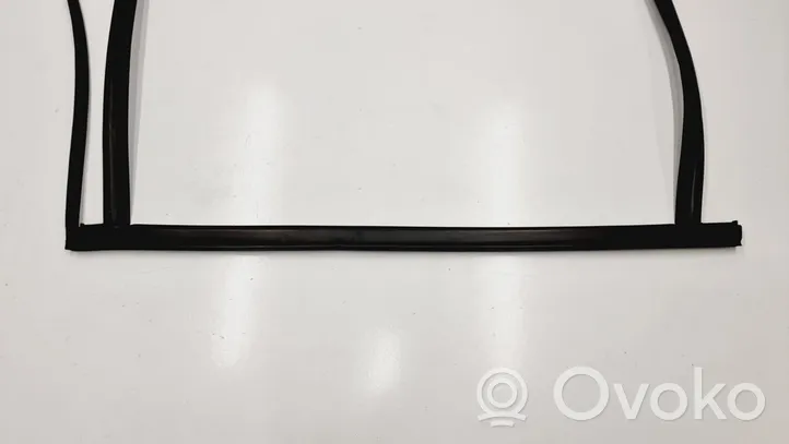 Ford Galaxy Galinių durų sandarinimo guma 6M21-U25824