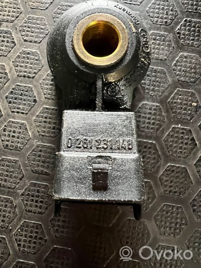 Porsche Cayenne (9PA) Sensore di detonazione 0261231148