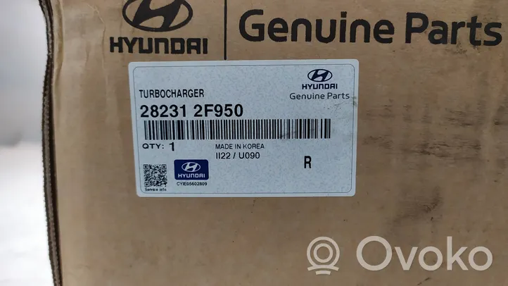 Hyundai Santa Fe Turbina 282312F950