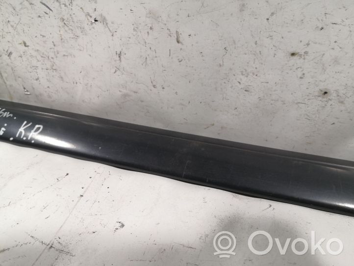 Mercedes-Benz C W202 Front door trim (molding) A2026900362