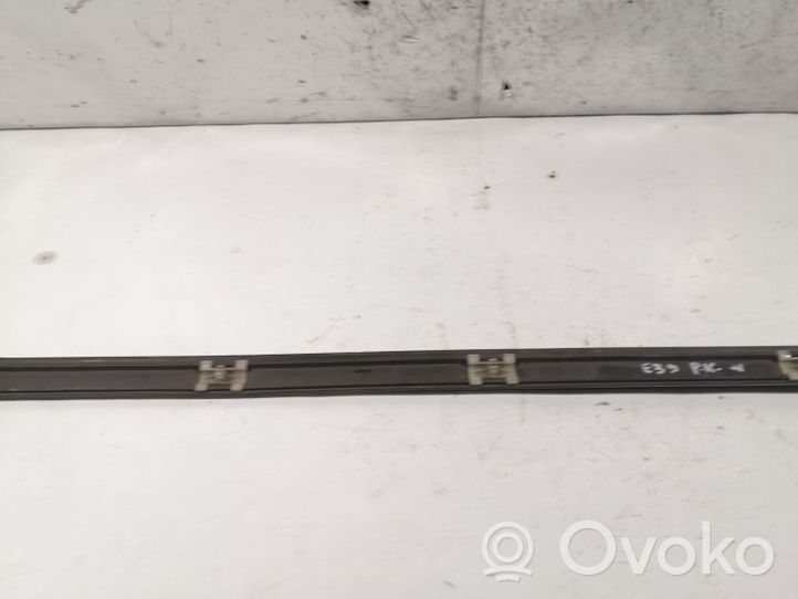 BMW 5 E39 Front door trim (molding) 8159295